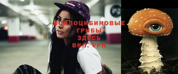дживик Алексеевка