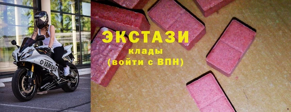 гидра Арсеньев