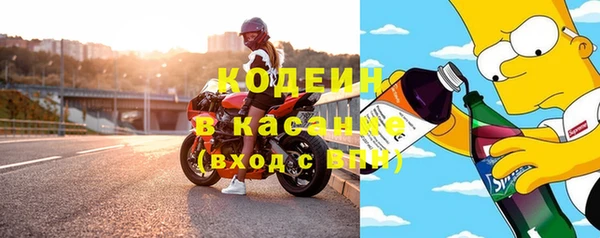 гидра Арсеньев