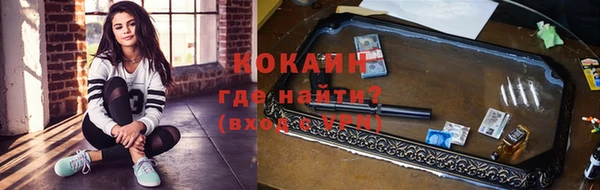 гидра Арсеньев