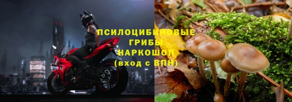 мескалин Аркадак
