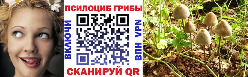 Галлюциногенные грибы Magic Shrooms Купить Вихоревка