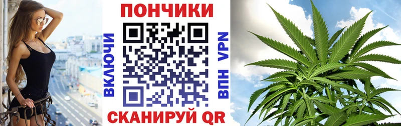 Шишки марихуана план  Купить закладки  Вихоревка 